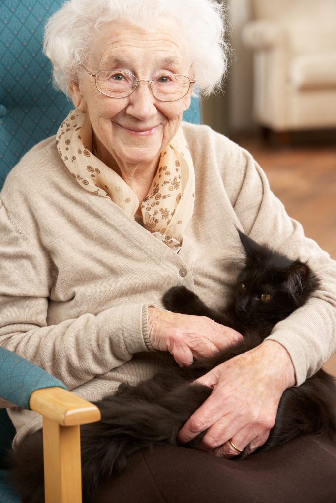 lady with dementia sat down stroking a black cat that is on her lap