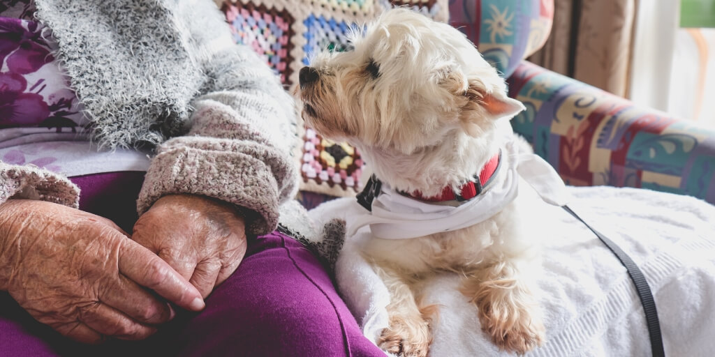 benefits of live in care keeping pets