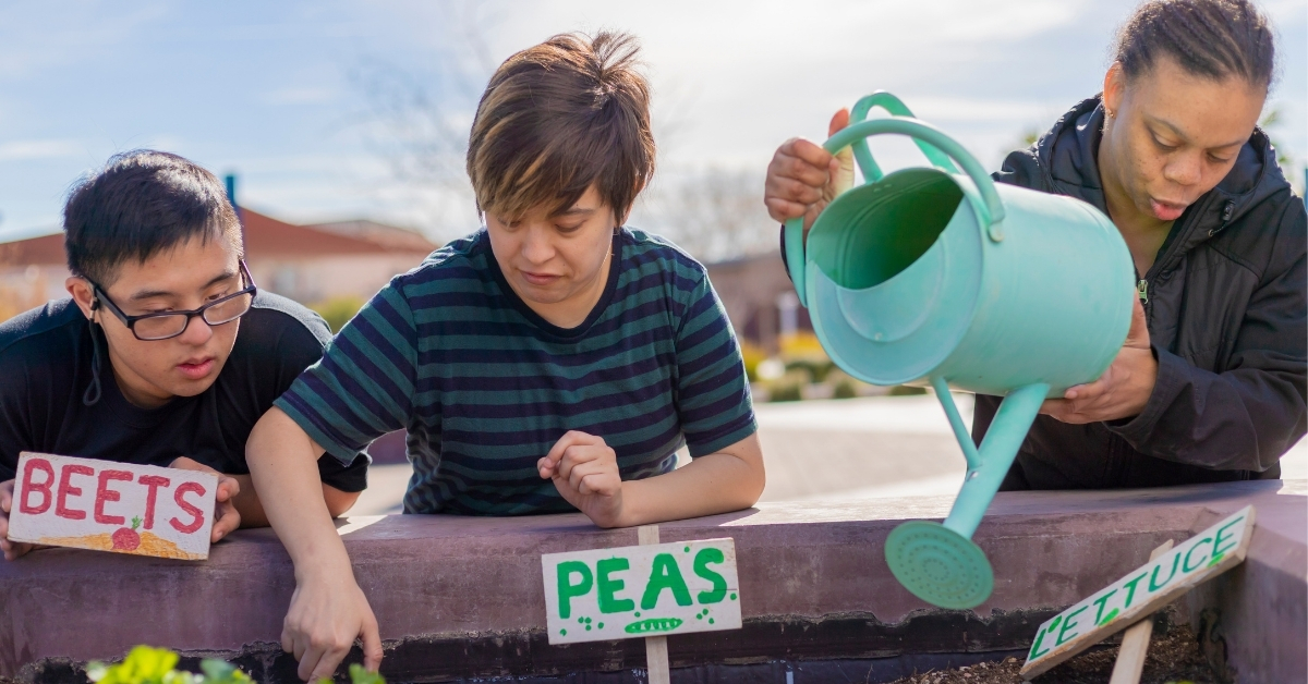 Adults with learning disabilities gardening